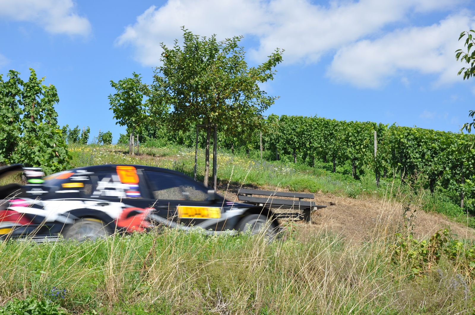 WRC-D 20-08-2010 097.jpg